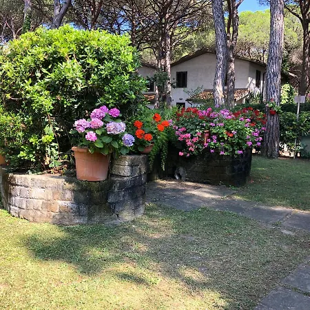Girino Ii 普林希匹纳马尔